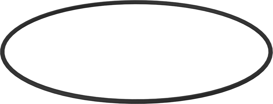 Kimyasala Dayanıklı Viton® Floroelastomer O-Ring, 3/32 Kesirli Genişlik, Dash Numarası 164