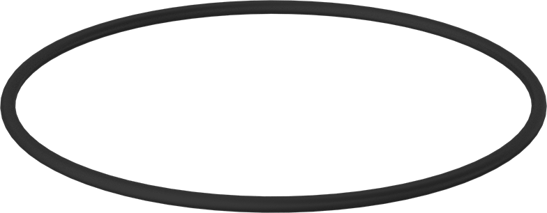 Kimyasala Dayanıklı Viton® Floroelastomer O-Ring, 1/4 Kesirli Genişlik, Dash Numarası 448