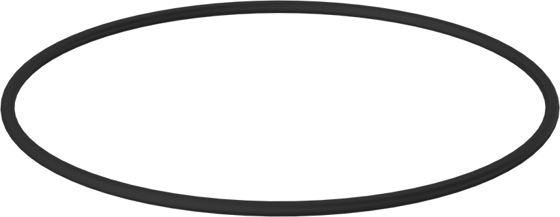Kimyasala Dayanıklı Viton® Floroelastomer O-Ring, 1/4 Kesirli Genişlik, Dash Numarası 450