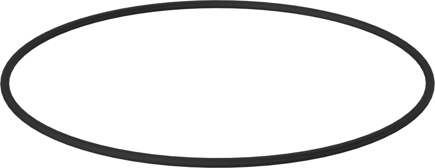 Kimyasala Dayanıklı Viton® Floroelastomer O-Ring, 1/4 Kesirli Genişlik, Dash Numarası 455