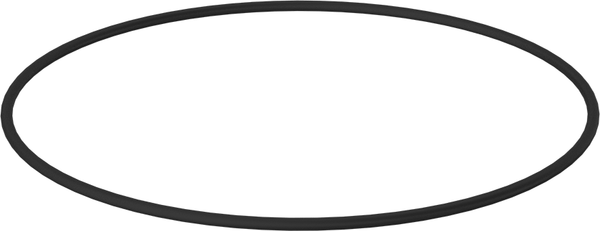 Kimyasala Dayanıklı Viton® Floroelastomer O-Ring, 1/4 Kesirli Genişlik, Dash Numarası 456