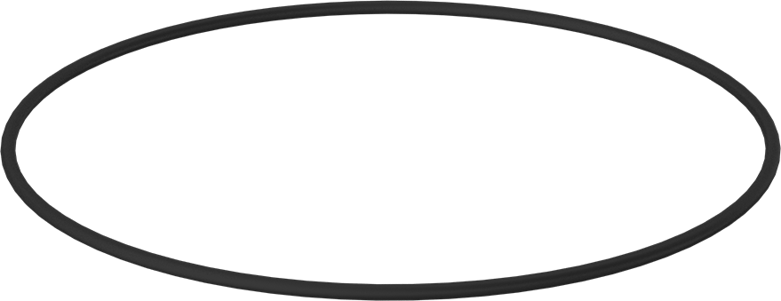 Kimyasala Dayanıklı Viton® Floroelastomer O-Ring, 1/4 Kesirli Genişlik, Dash Numarası 457