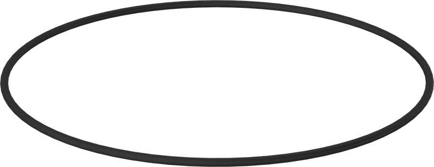 Kimyasala Dayanıklı Viton® Floroelastomer O-Ring, 1/4 Kesirli Genişlik, Dash Numarası 458