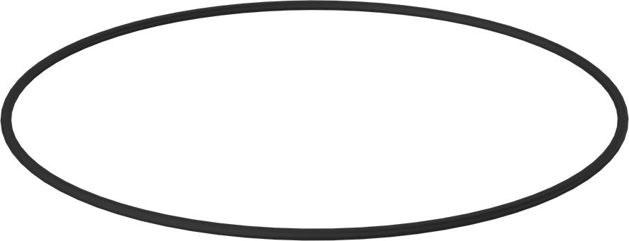 Kimyasala Dayanıklı Viton® Floroelastomer O-Ring, 1/4 Kesirli Genişlik, Dash Numarası 460
