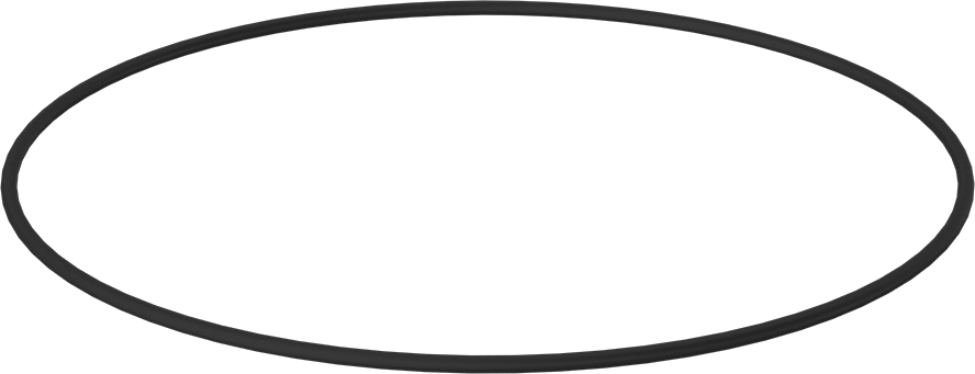 Kimyasala Dayanıklı Viton® Floroelastomer O-Ring, 1/4 Kesirli Genişlik, Dash Numarası 461
