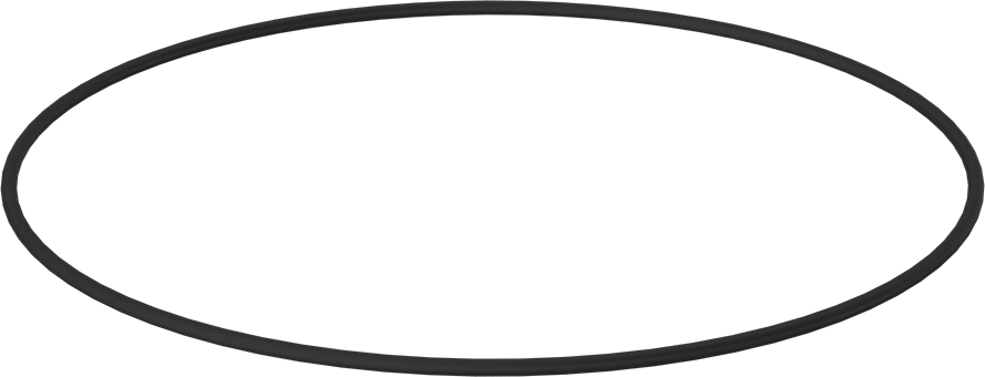 Kimyasala Dayanıklı Viton® Floroelastomer O-Ring, 1/4 Kesirli Genişlik, Dash Numarası 462