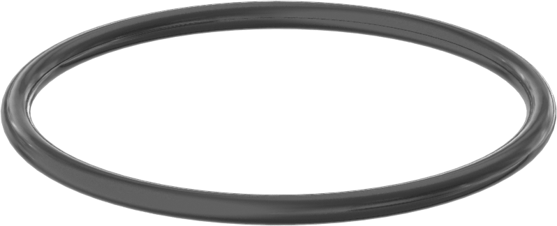 Yağa ve Aşınmaya Dayanıklı Poliüretan O-Ring, 1/8 Kesirli Genişlik, Dash Numarası 229