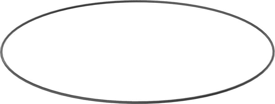 Yağa ve Aşınmaya Dayanıklı Poliüretan O-Ring, 1/8 Kesirli Genişlik, Dash Numarası 282