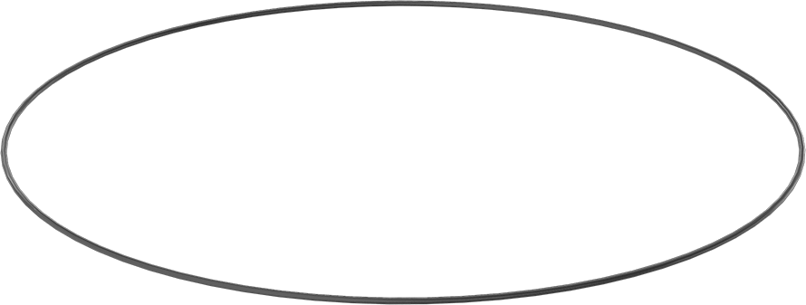 Yağa ve Aşınmaya Dayanıklı Poliüretan O-Ring, 1/8 Kesirli Genişlik, Dash Numarası 284