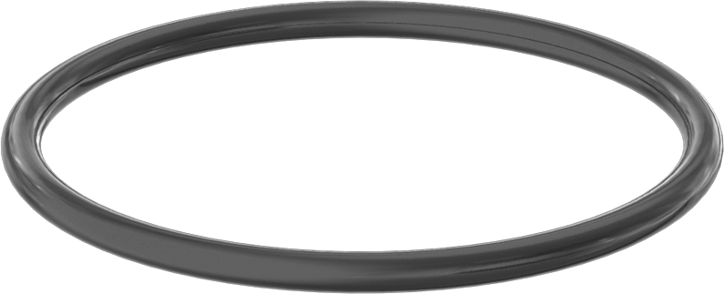 Yağa ve Aşınmaya Dayanıklı Poliüretan O-Ring, 1/4 Kesirli Genişlik, Dash Numarası 425