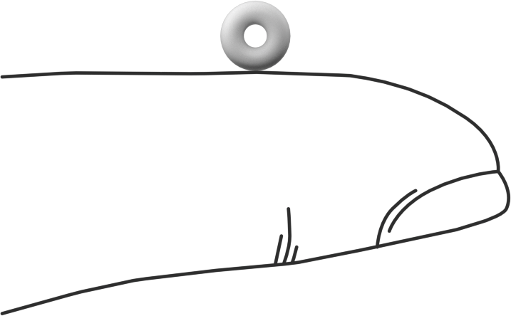 Ultra Kimyasala Dayanıklı Sert PTFE O-Ring, 1/16 Kesirli Genişlik, Dash Numarası 004