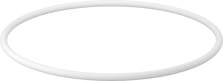 Ultra Kimyasala Dayanıklı Sert PTFE O-Ring, 1/16 Kesirli Genişlik, Dash Numarası 035
