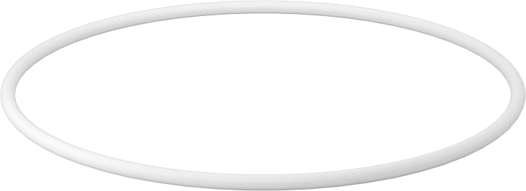 Ultra Kimyasala Dayanıklı Sert PTFE O-Ring, 1/16 Kesirli Genişlik, Dash Numarası 037