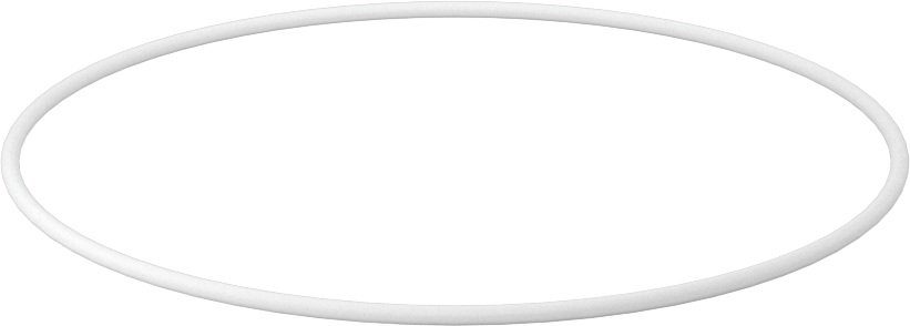 Ultra Kimyasala Dayanıklı Sert PTFE O-Ring, 1/16 Kesirli Genişlik, Dash Numarası 043