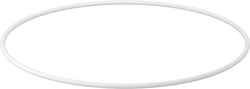 Ultra Kimyasala Dayanıklı Sert PTFE O-Ring, 1/16 Kesirli Genişlik, Dash Numarası 044