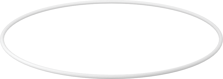 Ultra Kimyasala Dayanıklı Sert PTFE O-Ring, 1/16 Kesirli Genişlik, Dash Numarası 046