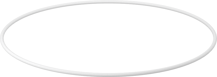 Ultra Kimyasala Dayanıklı Sert PTFE O-Ring, 1/16 Kesirli Genişlik, Dash Numarası 047