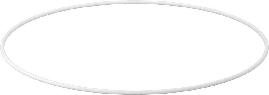 Ultra Kimyasala Dayanıklı Sert PTFE O-Ring, 1/16 Kesirli Genişlik, Dash Numarası 049