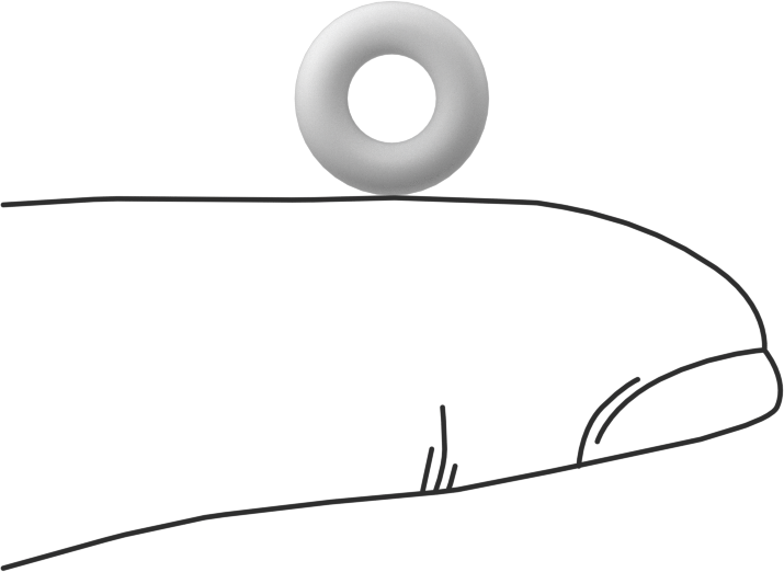 Ultra Kimyasala Dayanıklı Sert PTFE O-Ring, 3/32 Kesirli Genişlik, Dash Numarası 106