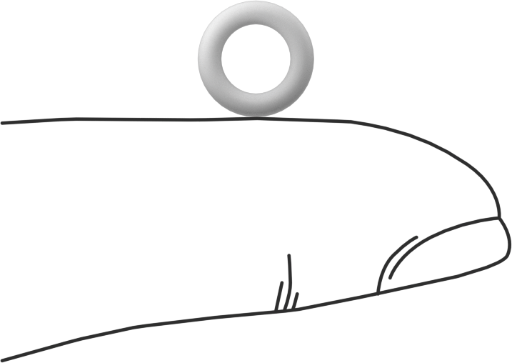 Ultra Kimyasala Dayanıklı Sert PTFE O-Ring, 1/16 Kesirli Genişlik, Dash Numarası 009