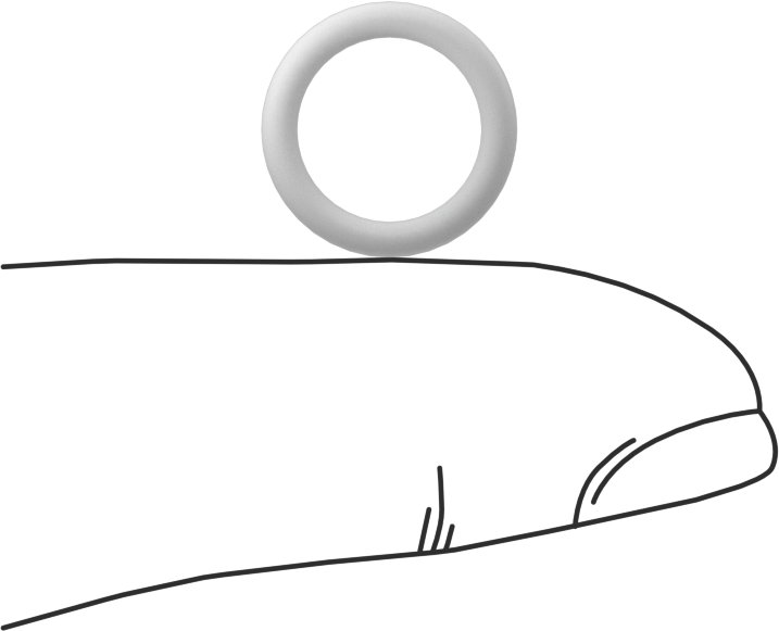 Ultra Kimyasala Dayanıklı Sert PTFE O-Ring, 1/16 Kesirli Genişlik, Dash Numarası 012