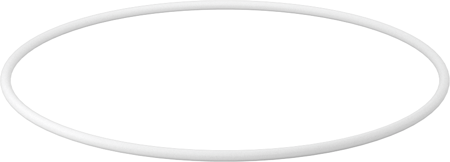 Ultra Kimyasala Dayanıklı Sert PTFE O-Ring, 3/32 Kesirli Genişlik, Dash Numarası 157