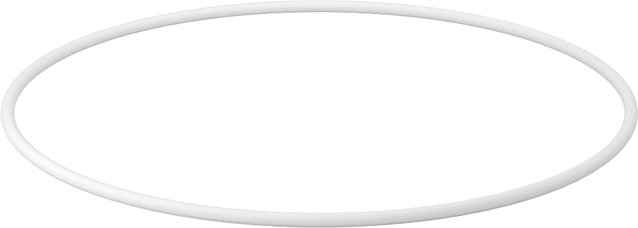 Ultra Kimyasala Dayanıklı Sert PTFE O-Ring, 3/32 Kesirli Genişlik, Dash Numarası 159