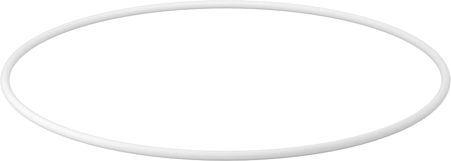 Ultra Kimyasala Dayanıklı Sert PTFE O-Ring, 3/32 Kesirli Genişlik, Dash Numarası 160