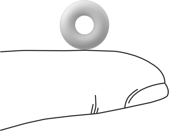 Ultra Kimyasala Dayanıklı Sert PTFE O-Ring, 1/8 Kesirli Genişlik, Dash Numarası 201