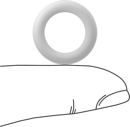 Ultra Kimyasala Dayanıklı Sert PTFE O-Ring, 1/8 Kesirli Genişlik, Dash Numarası 206