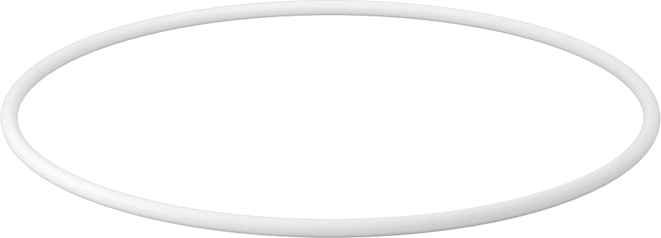 Ultra Kimyasala Dayanıklı Sert PTFE O-Ring, 1/8 Kesirli Genişlik, Dash Numarası 253