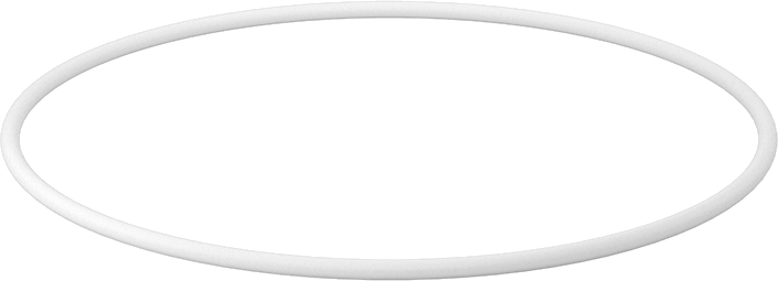 Ultra Kimyasala Dayanıklı Sert PTFE O-Ring, 1/8 Kesirli Genişlik, Dash Numarası 255