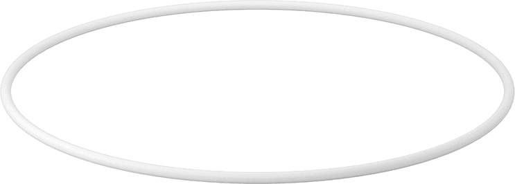 Ultra Kimyasala Dayanıklı Sert PTFE O-Ring, 1/8 Kesirli Genişlik, Dash Numarası 261