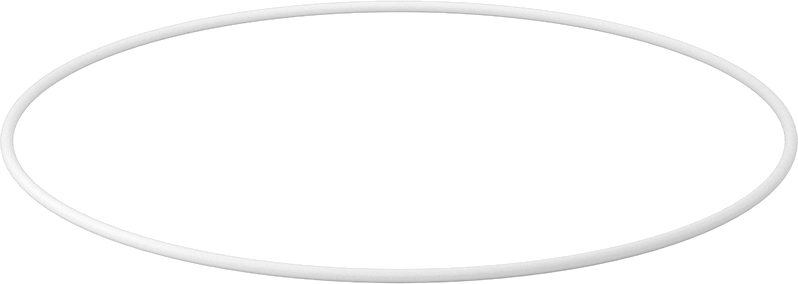 Ultra Kimyasala Dayanıklı Sert PTFE O-Ring, 1/8 Kesirli Genişlik, Dash Numarası 269