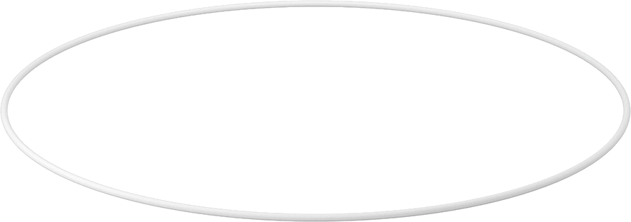 Ultra Kimyasala Dayanıklı Sert PTFE O-Ring, 1/8 Kesirli Genişlik, Dash Numarası 279