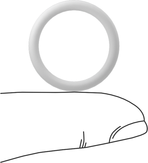 Ultra Kimyasala Dayanıklı Sert PTFE O-Ring, 3/32 Kesirli Genişlik, Dash Numarası 116