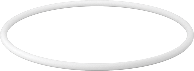 Ultra Kimyasala Dayanıklı Sert PTFE O-Ring, 1/4 Kesirli Genişlik, Dash Numarası 443