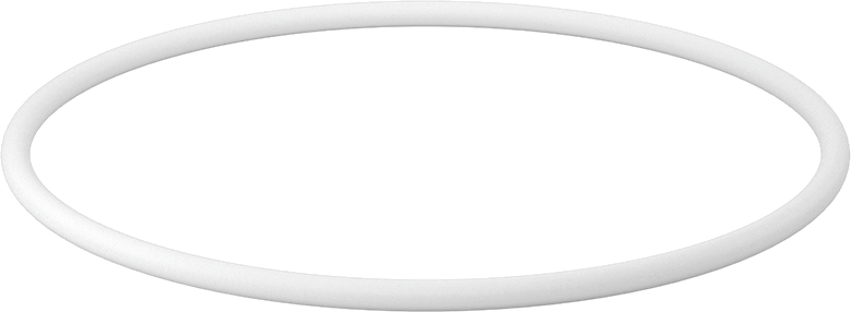 Ultra Kimyasala Dayanıklı Sert PTFE O-Ring, 1/4 Kesirli Genişlik, Dash Numarası 444