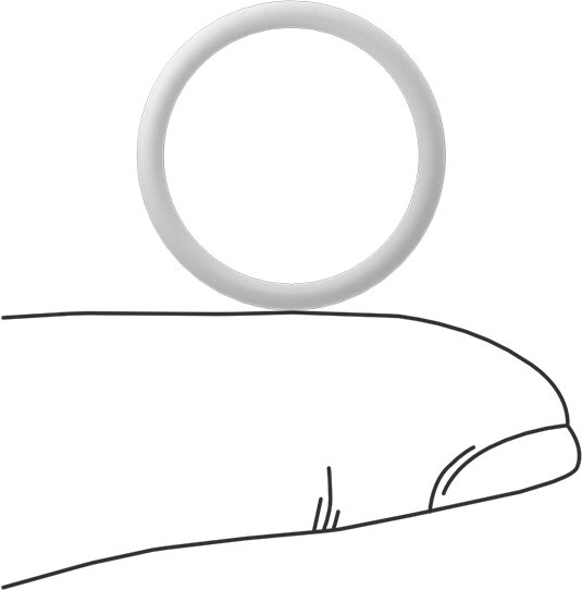 Ultra Kimyasala Dayanıklı Sert PTFE O-Ring, 1/16 Kesirli Genişlik, Dash Numarası 017