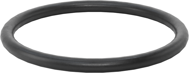 Ultra Kimyasala Dayanıklı DuPont Kalrez 4079 O-Ring, 1/16 Kesirli Genişlik, Dash Numarası 020