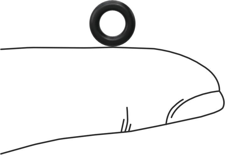 Ultra Kimyasala Dayanıklı DuPont Kalrez 4079 O-Ring, 1/16 Kesirli Genişlik, Dash Numarası 008