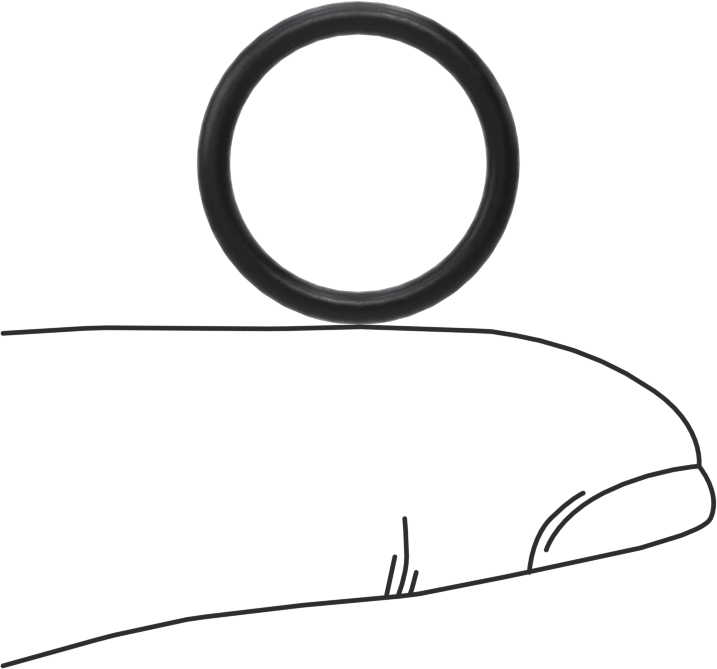 Ultra Kimyasala Dayanıklı DuPont Kalrez 4079 O-Ring, 1/16 Kesirli Genişlik, Dash Numarası 015