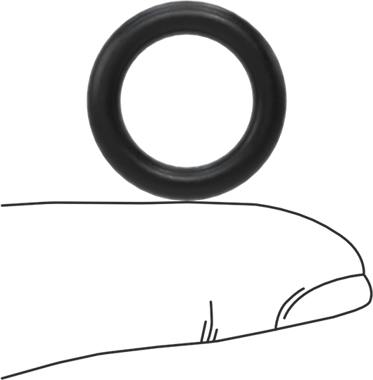 Ultra Kimyasala Dayanıklı DuPont Kalrez 4079 O-Ring, 1/8 Kesirli Genişlik, Dash Numarası 207