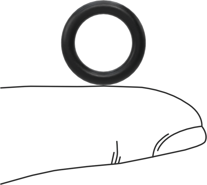 Ultra Kimyasala Dayanıklı DuPont Kalrez 4079 O-Ring, 3/32 Kesirli Genişlik, Dash Numarası 111