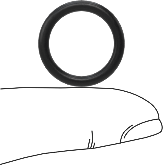 Ultra Kimyasala Dayanıklı DuPont Kalrez 4079 O-Ring, 3/32 Kesirli Genişlik, Dash Numarası 114