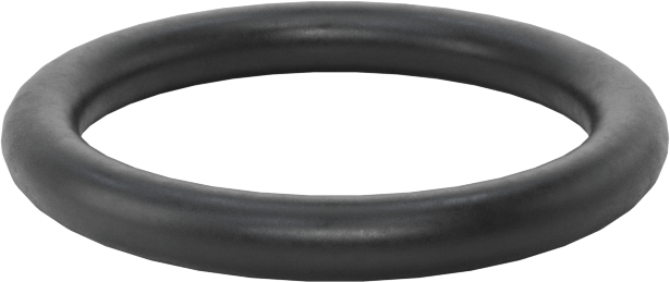 Ultra Kimyasala Dayanıklı DuPont Kalrez 4079 O-Ring, 3/32 Kesirli Genişlik, Dash Numarası 115