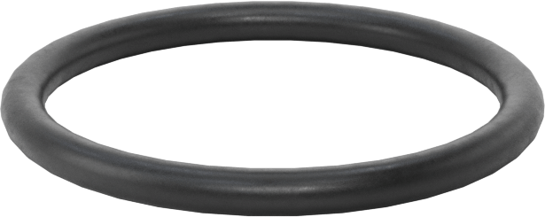 Ultra Kimyasala Dayanıklı DuPont Kalrez 4079 O-Ring, 1/16 Kesirli Genişlik, Dash Numarası 018