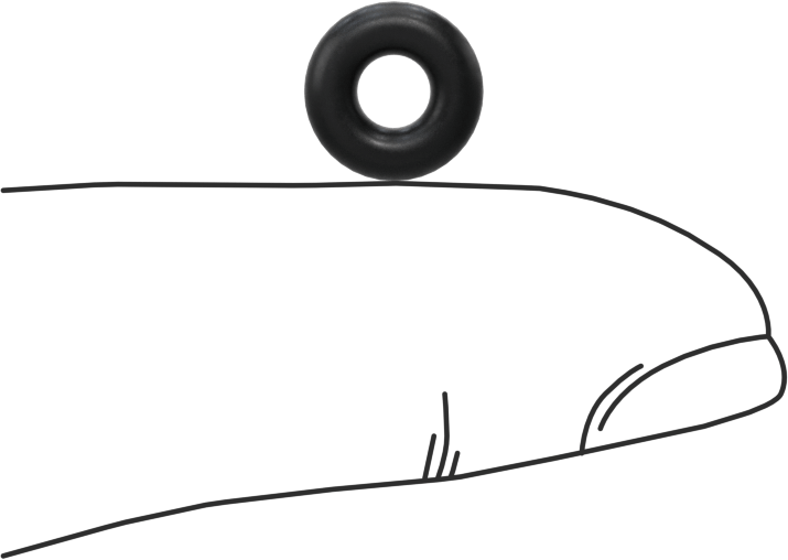 Ultra Kimyasala Dayanıklı DuPont Kalrez 4079 O-Ring, 3/32 Kesirli Genişlik, Dash Numarası 105