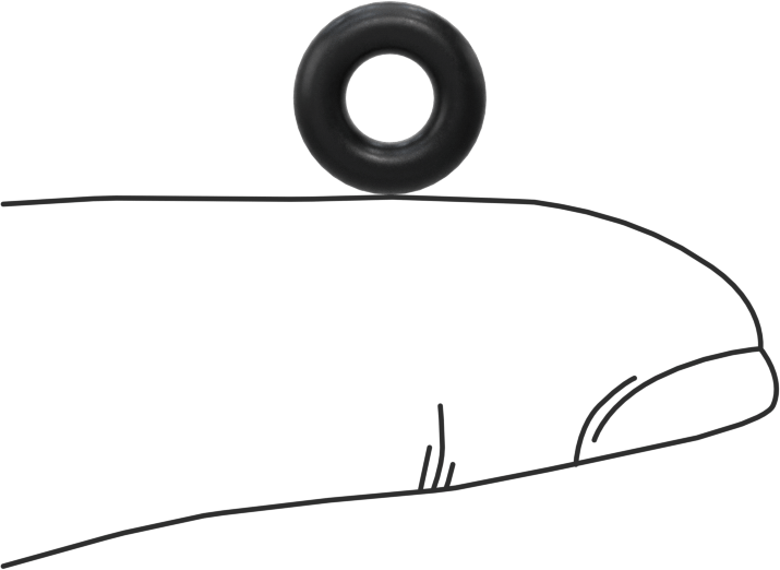 Ultra Kimyasala Dayanıklı DuPont Kalrez 4079 O-Ring, 3/32 Kesirli Genişlik, Dash Numarası 106