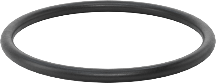 Ultra Kimyasala Dayanıklı DuPont Kalrez 4079 O-Ring, 3/32 Kesirli Genişlik, Dash Numarası 129